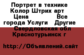 Портрет в технике “Колор-Штрих-арт“ › Цена ­ 250-350 - Все города Услуги » Другие   . Свердловская обл.,Краснотурьинск г.